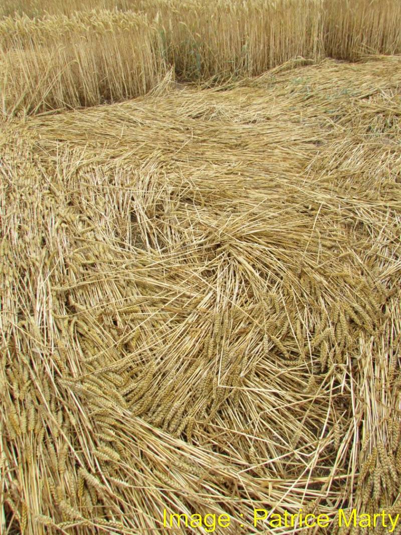 Stonehenge, Wiltshire crop circle, aerial photo 119