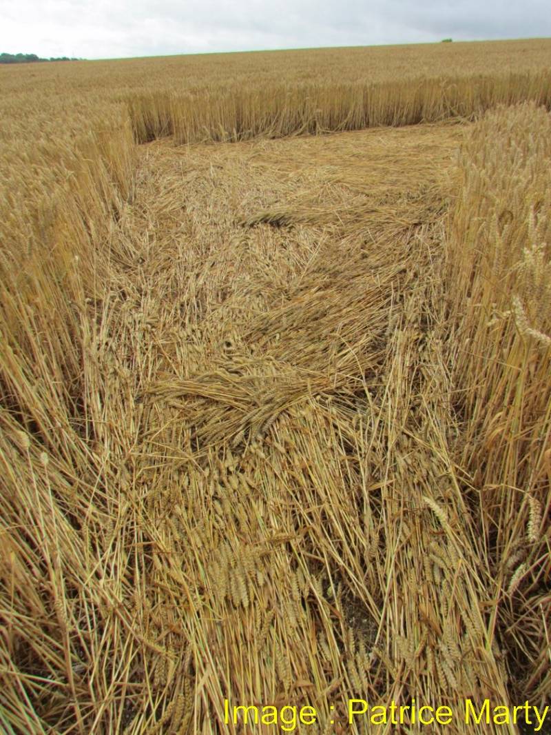 Stonehenge, Wiltshire crop circle, aerial photo 117