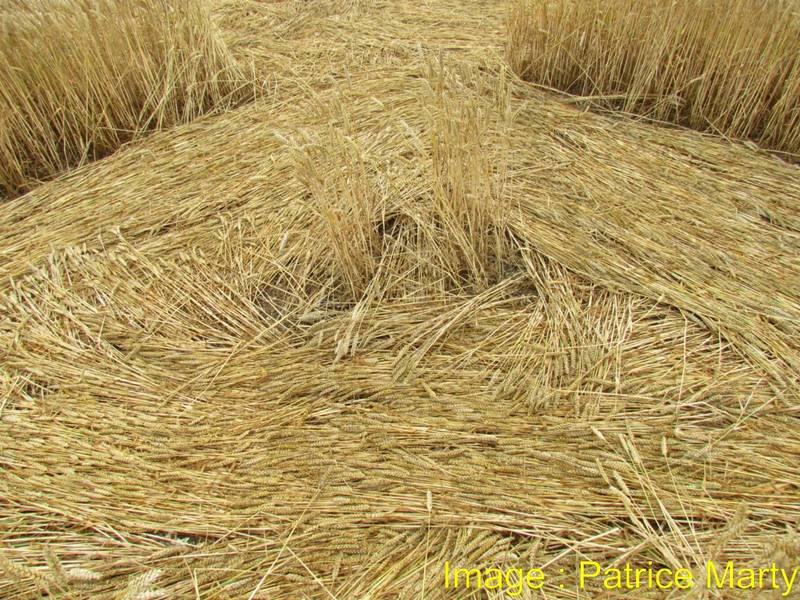 Stonehenge, Wiltshire crop circle, aerial photo 115