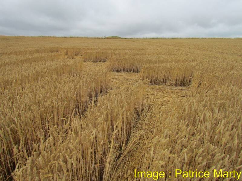 Stonehenge, Wiltshire crop circle, aerial photo 114