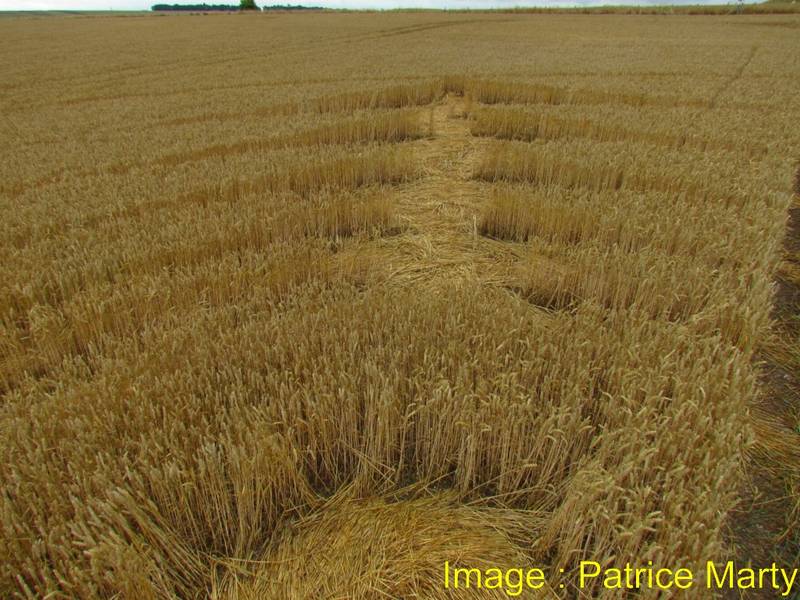 Stonehenge, Wiltshire crop circle, aerial photo 111