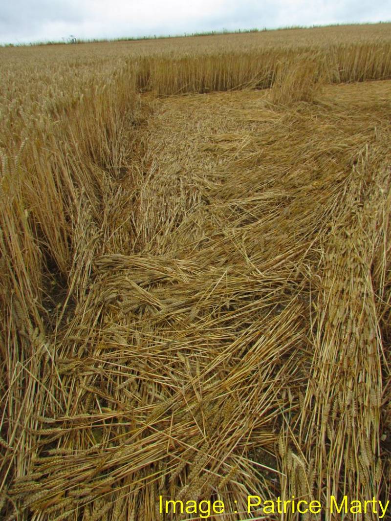Stonehenge, Wiltshire crop circle, aerial photo 110
