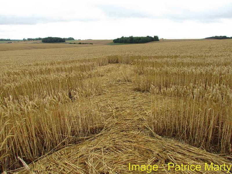 Stonehenge, Wiltshire crop circle, aerial photo 104