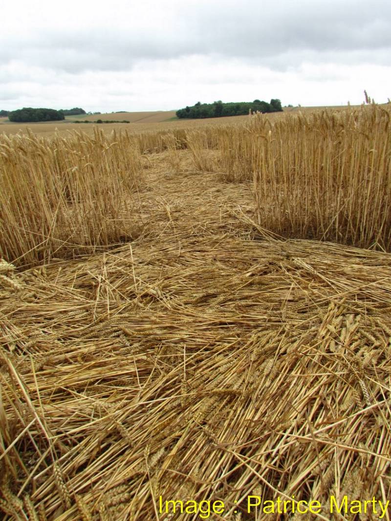 Stonehenge, Wiltshire crop circle, aerial photo 103