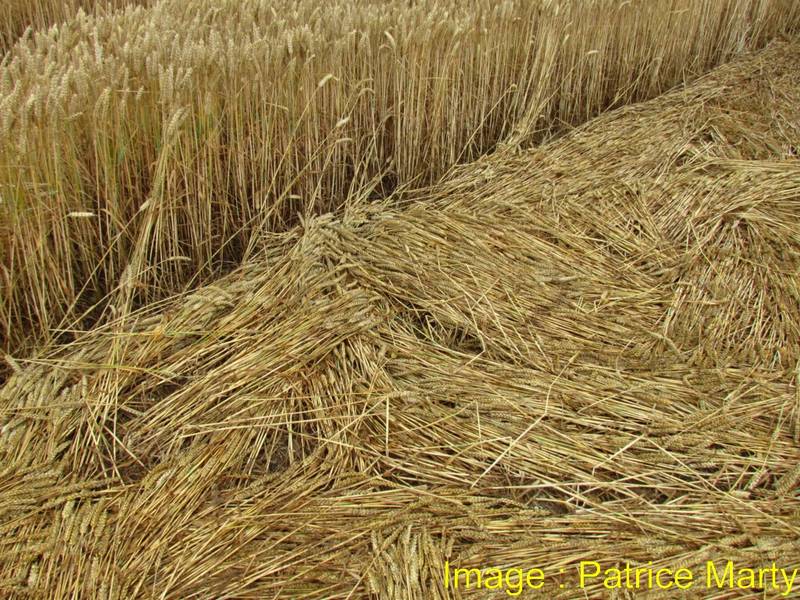 Stonehenge, Wiltshire crop circle, aerial photo 102