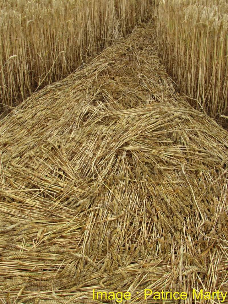 Stonehenge, Wiltshire crop circle, aerial photo 101