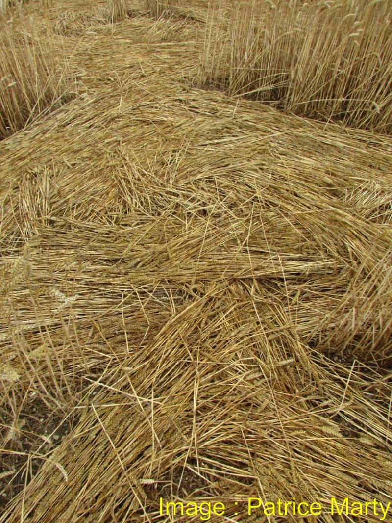 Stonehenge, Wiltshire crop circle, aerial photo 99