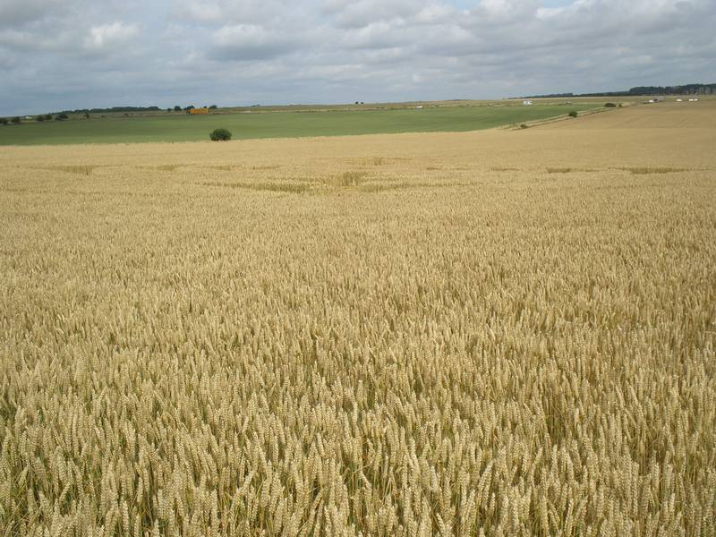 Stonehenge, Wiltshire crop circle, aerial photo 74
