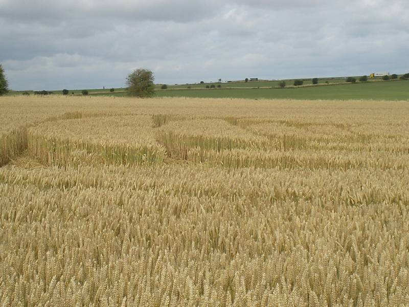 Stonehenge, Wiltshire crop circle, aerial photo 75