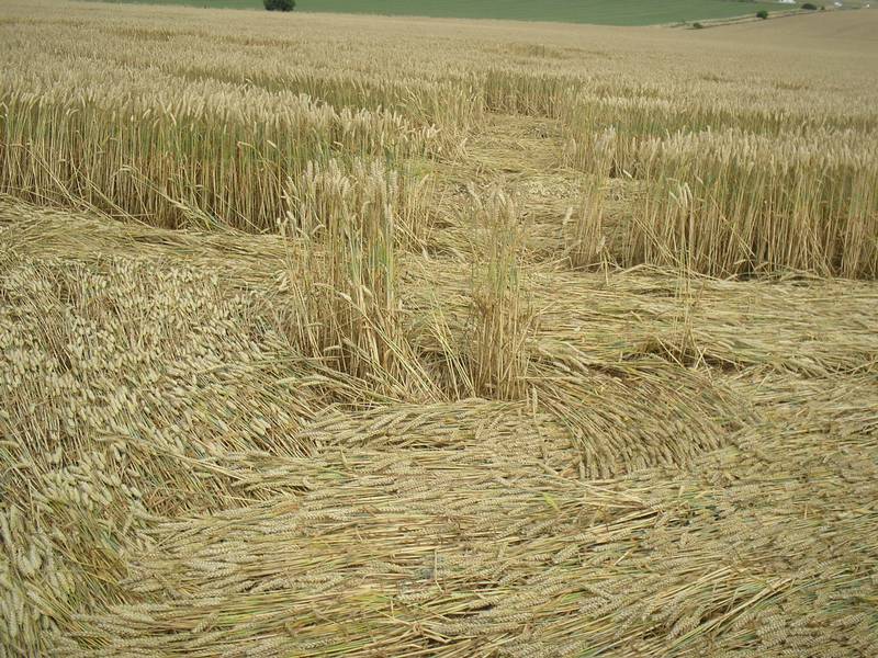Stonehenge, Wiltshire crop circle, aerial photo 76