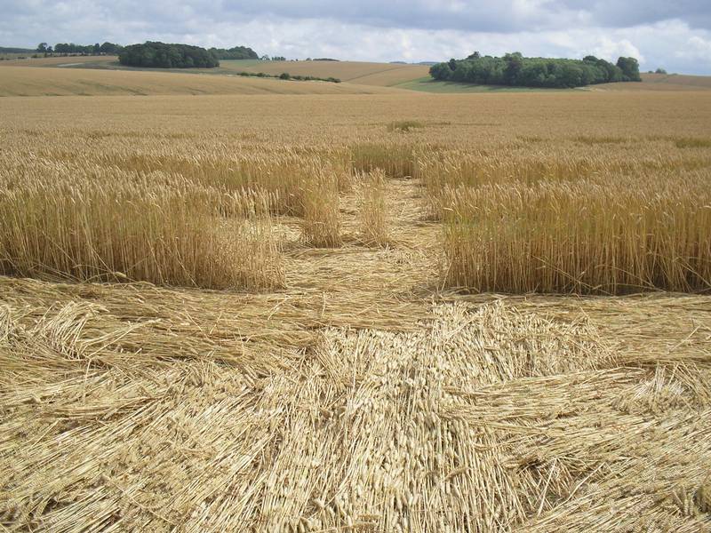 Stonehenge, Wiltshire crop circle, aerial photo 77