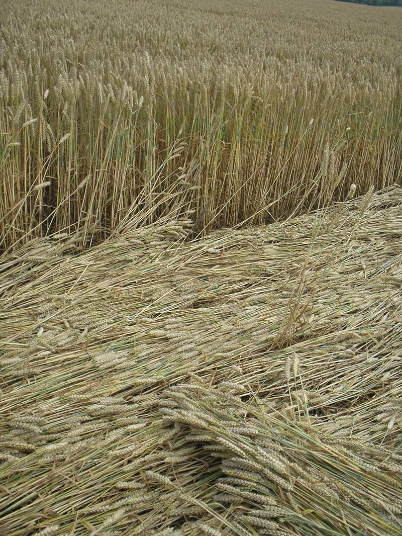 Stonehenge, Wiltshire crop circle, aerial photo 81