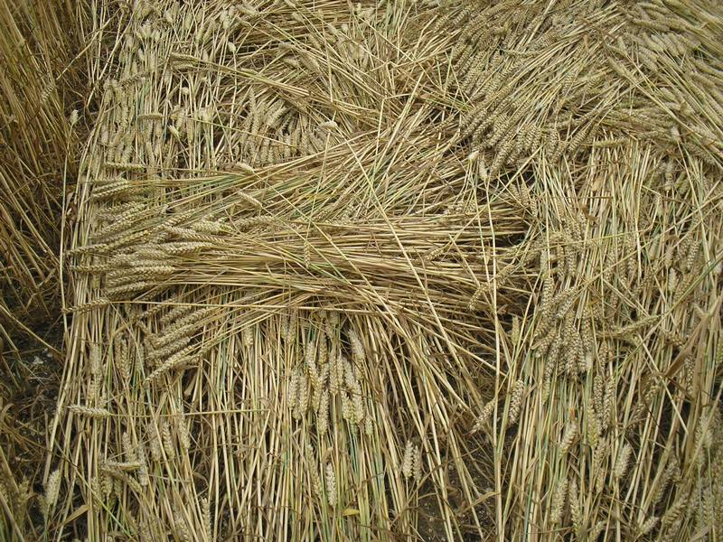 Stonehenge, Wiltshire crop circle, aerial photo 85