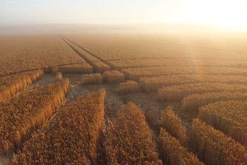 Stonehenge, Wiltshire crop circle, aerial photo 37