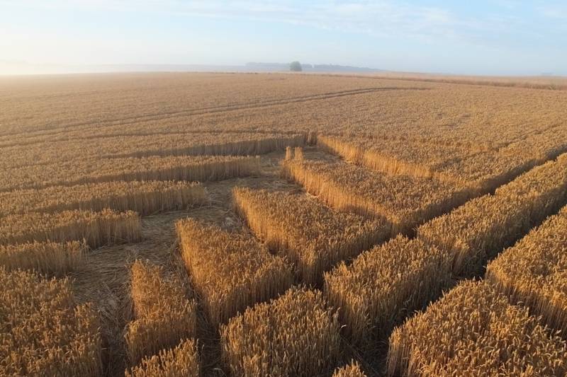 Stonehenge, Wiltshire crop circle, aerial photo 38