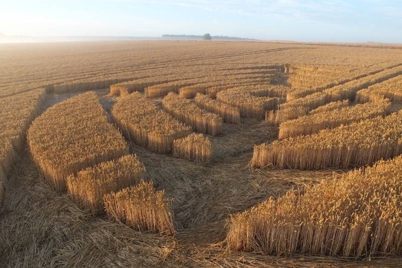 Stonehenge, Wiltshire crop circle, aerial photo 40