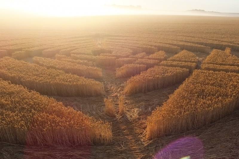Stonehenge, Wiltshire crop circle, aerial photo 41
