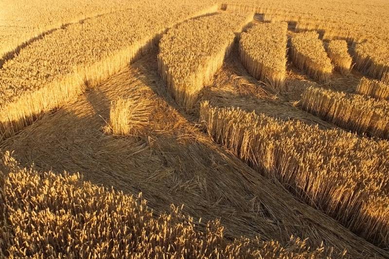 Stonehenge, Wiltshire crop circle, aerial photo 44