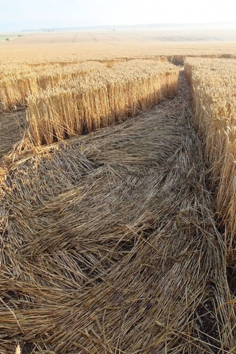 Stonehenge, Wiltshire crop circle, aerial photo 48