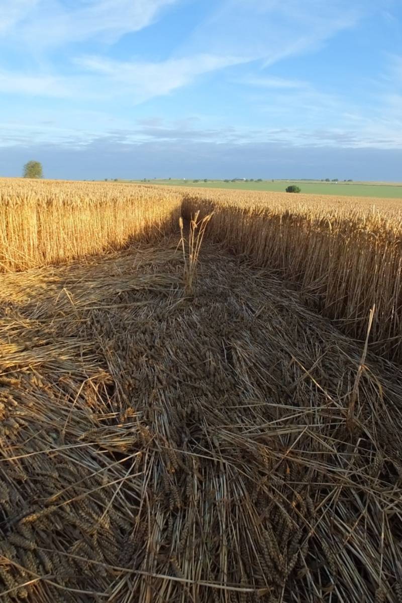 Stonehenge, Wiltshire crop circle, aerial photo 50