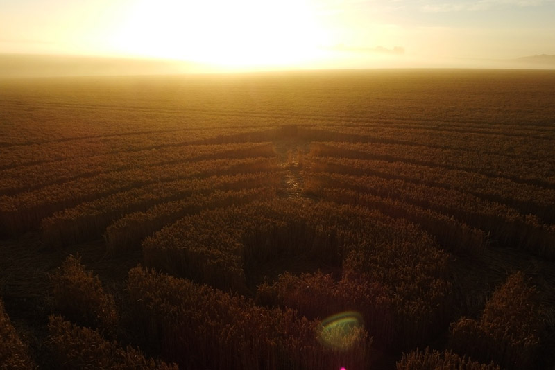 Stonehenge, Wiltshire crop circle, aerial photo 51