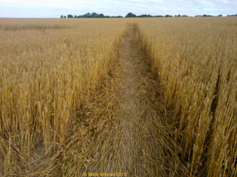 Wessex Ridgeway, Wiltshire crop circle, aerial photo 59
