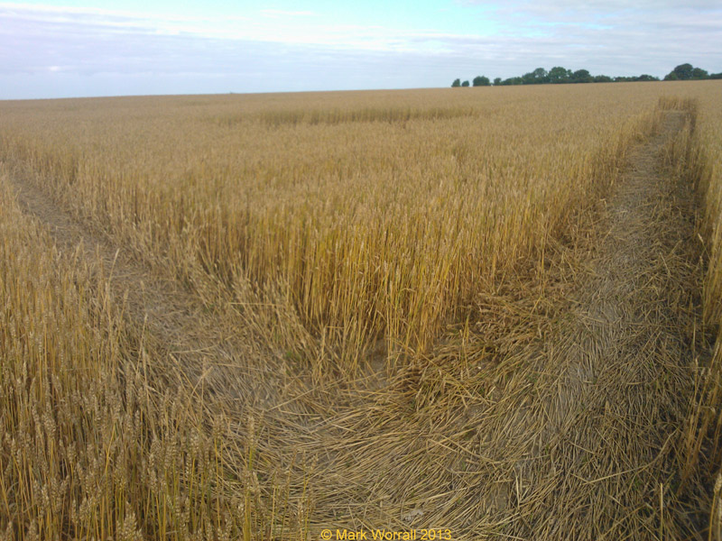 Wessex Ridgeway, Wiltshire crop circle, aerial photo 58