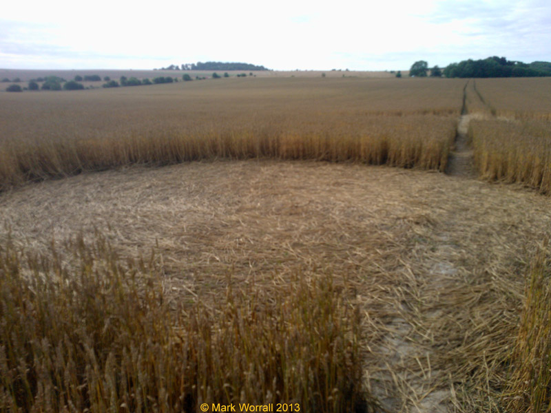 Wessex Ridgeway, Wiltshire crop circle, aerial photo 57