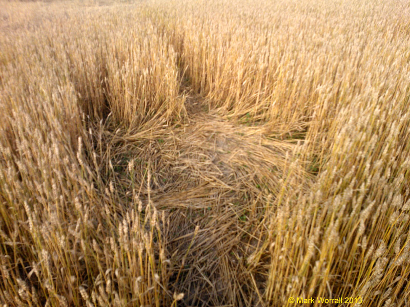 Wessex Ridgeway, Wiltshire crop circle, aerial photo 55