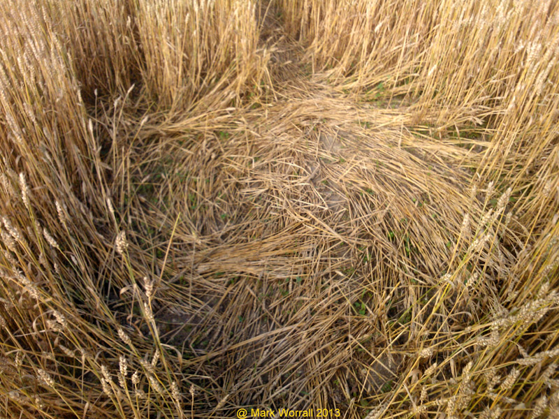 Wessex Ridgeway, Wiltshire crop circle, aerial photo 61