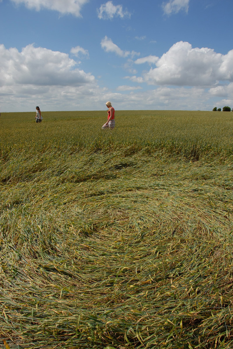 Wessex Ridgeway, Wiltshire crop circle, aerial photo 49