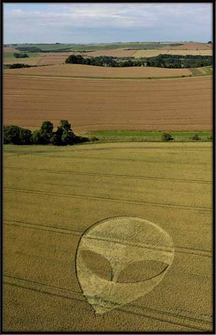 Wessex Ridgeway, Wiltshire crop circle, aerial photo 34