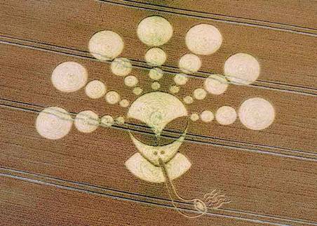Wessex Ridgeway, Wiltshire crop circle, aerial photo 35