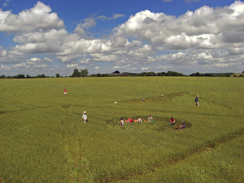 Wessex Ridgeway, Wiltshire crop circle, aerial photo 48