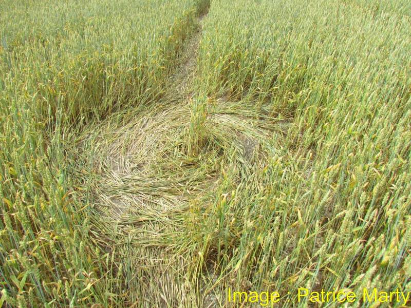 Wessex Ridgeway, Wiltshire crop circle, aerial photo 54