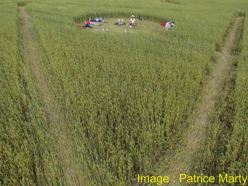 Wessex Ridgeway, Wiltshire crop circle, aerial photo 51