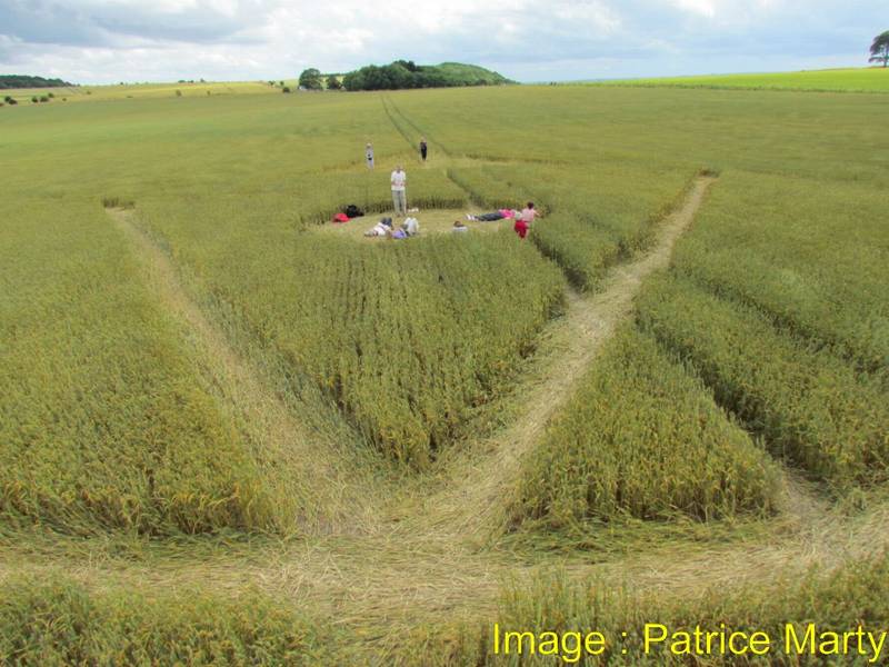 Wessex Ridgeway, Wiltshire crop circle, aerial photo 53