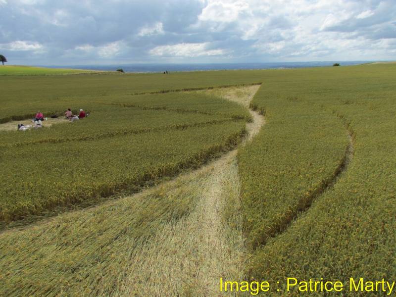 Wessex Ridgeway, Wiltshire crop circle, aerial photo 52