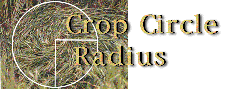 rad.gif (10030 bytes)