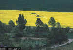 Burghasungen, Germany crop circle, aerial photo 7