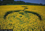 Burghasungen, Germany crop circle, aerial photo 13