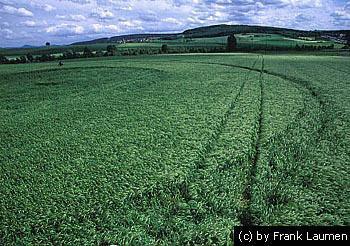 Elfershausen, Germany crop circle, aerial photo 3