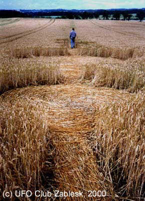 Hrastice U Skuhrov Nad Belou, Czech Republic crop circle, aerial photo 2