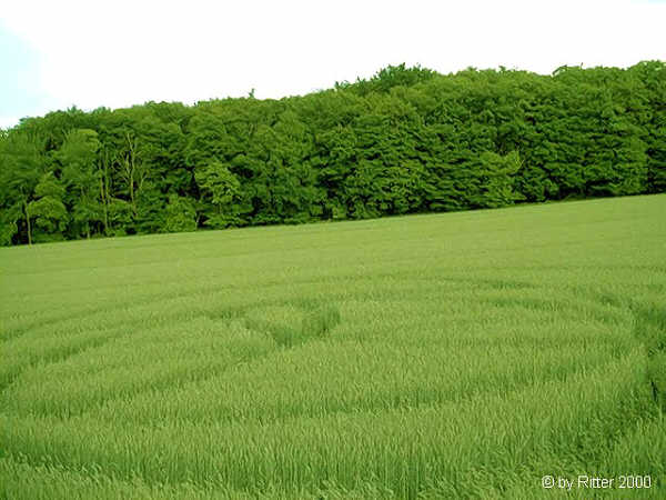 Ehlen, Germany crop circle, aerial photo 2