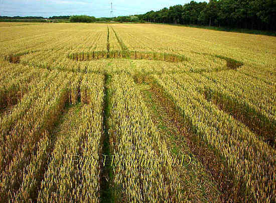 Stadskanaal (2), Netherlands crop circle, aerial photo 2