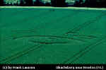 Ubachsberg, Netherlands crop circle, aerial photo 4