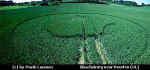 Ubachsberg, Netherlands crop circle, aerial photo 5