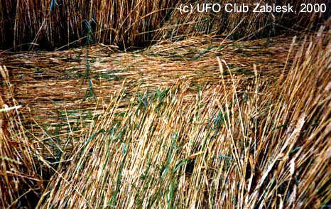 Prezletice, Czech Republic crop circle, aerial photo 3