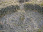 Drnberg, Germany crop circle, aerial photo 6
