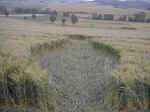 Drnberg, Germany crop circle, aerial photo 7